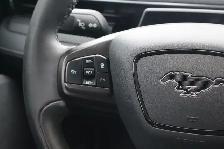 2022 Ford Mustang Mach-E - Photo 19
