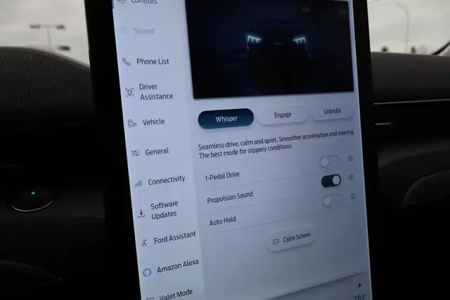 2022 Ford Mustang Mach-E - Photo 26