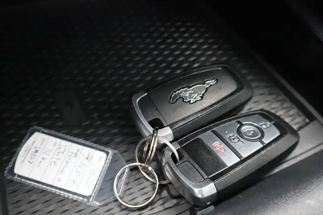 2022 Ford Mustang Mach-E - Photo 30