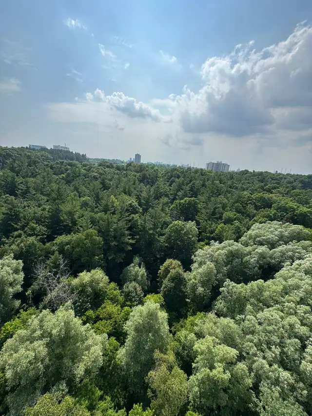 Furnished, Bright  Apartment Master Bedroom Near UTSC Centennial