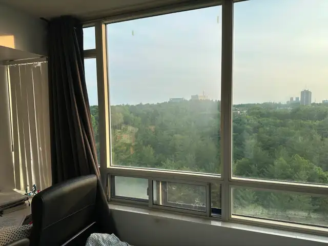 Furnished, Bright  Apartment Master Bedroom Near UTSC Centennial - Photo 9