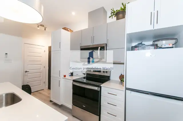 Appartement à Louer - 97 rue Marguerite-Maillé #101 - Photo 8