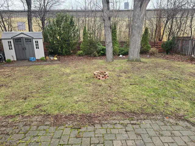 Spacious Room For Rent - Photo 10