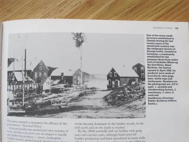 SAWPOWER - Making Lumber in the Sawmills of Nova Scotia - 1986 - Photo 8