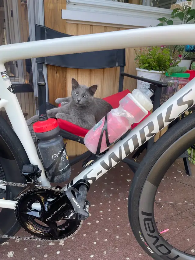 vélo route 56 cm Specialized S-Works Tarmac Sl8 - Photo 3