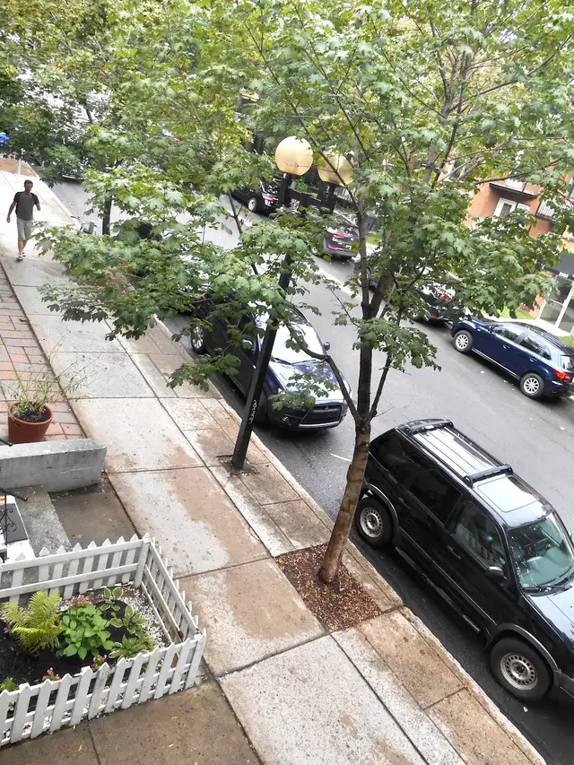 3½ w/ Private Patio – Near Parc Lafontaine – $1,370 | 4388738708 - Photo 10