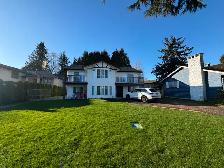 1 Bedroom, 1 Bathroom Suite for Rent – Richmond (Bargen Drive)