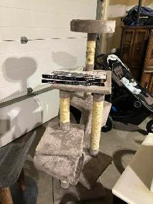 Swamper/junk removal