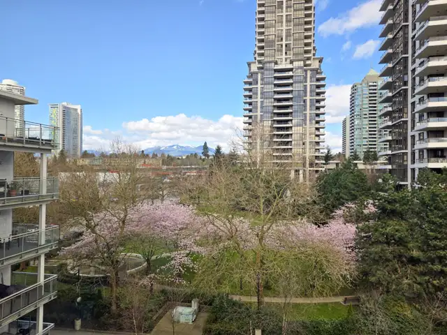 515 - 2188 Madison Avenue, Burnaby, British Columbia - Photo 2