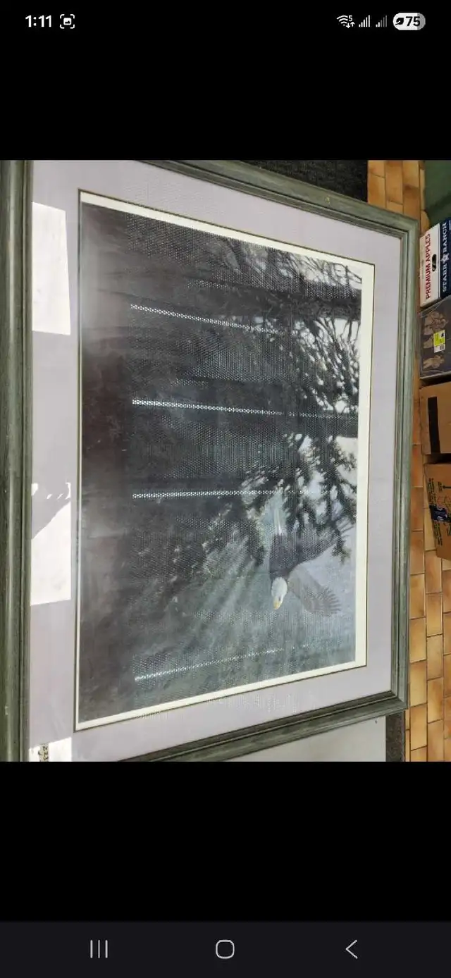 Robert Bateman Print - Photo 3