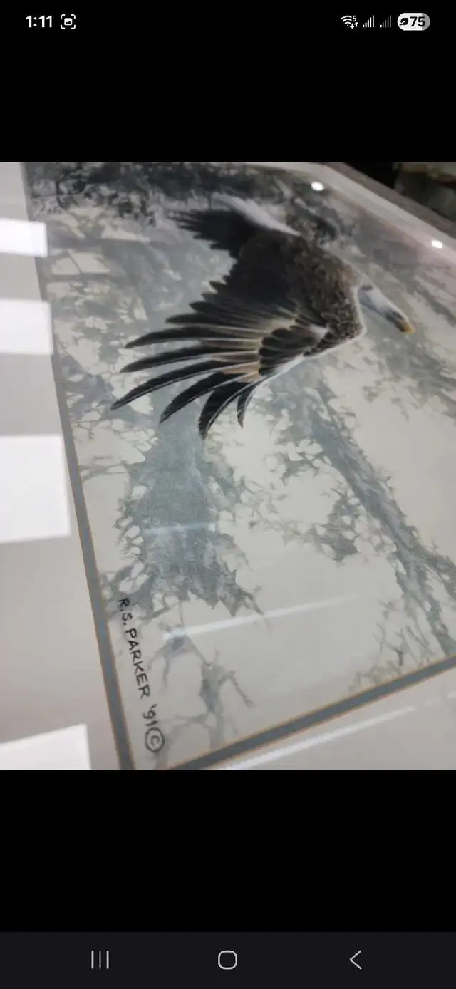 Robert Bateman Print - Photo 4