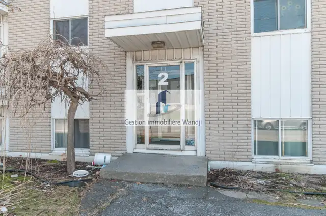 Appartement à Louer - 2 chemin de la Savane #7 - Photo 2