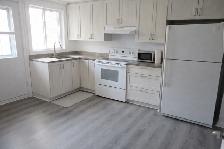 3 1/2 - Demi sous-sol - 995$ internet