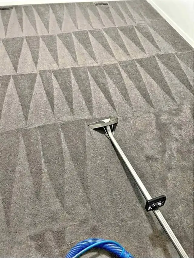 Steam Carpet cleaning