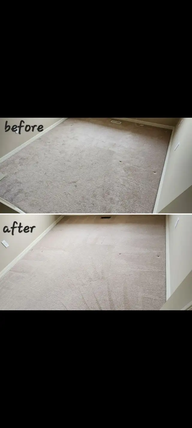 Steam Carpet cleaning - Photo 4