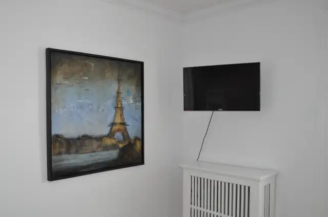 Large Bright Furnished Studio in the Heart of Sandy Hill - Photo 6