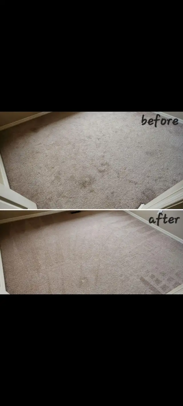 Carpet cleaning services - Photo 3