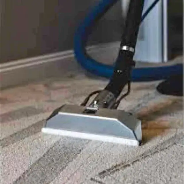 Steam and upholstery cleaning