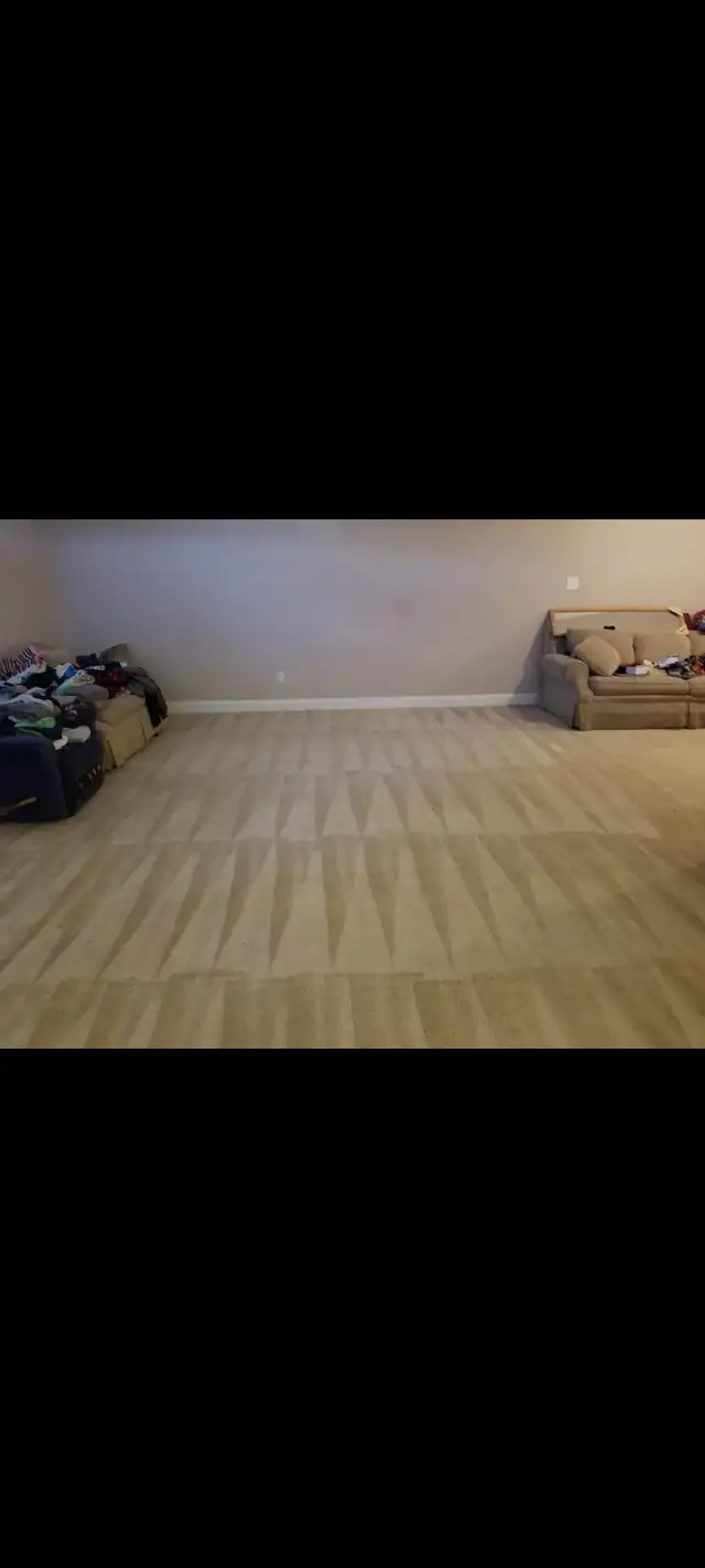 Steam and upholstery cleaning - Photo 4