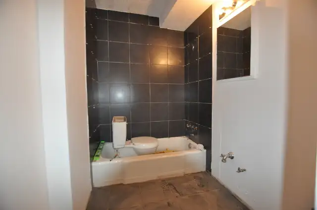 Métro Prefontaine, 3 1/2 dans un immeuble tranquille JUILLET - Photo 4