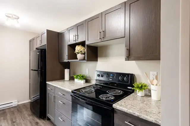 291 St. Anne's Road - One-Bedroom Suite Apartment for Rent - Photo 17