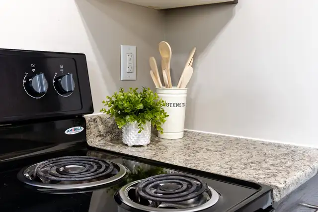 291 St. Anne's Road - One-Bedroom Suite Apartment for Rent - Photo 18