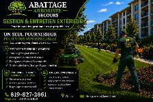 abattage arboriste secours - Photo 2