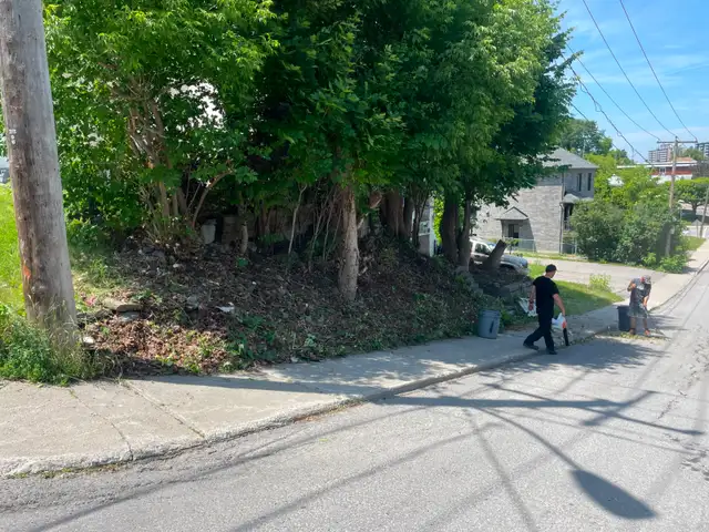 abattage arboriste secours - Photo 3