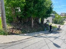 abattage arboriste secours - Photo 3