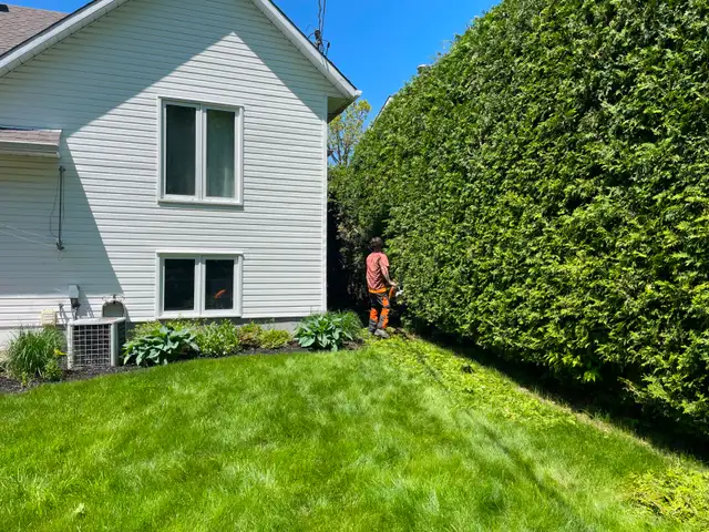 abattage arboriste secours - Photo 4