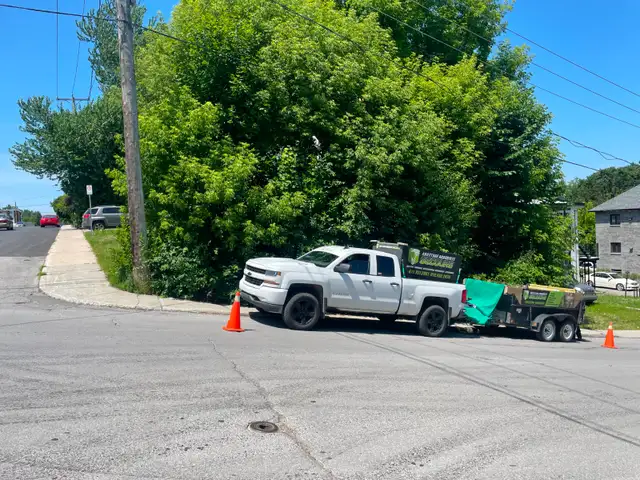 abattage arboriste secours - Photo 5