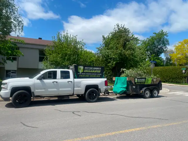 abattage arboriste secours - Photo 6