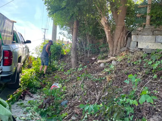 abattage arboriste secours - Photo 8