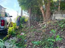 abattage arboriste secours - Photo 8