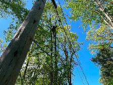 abattage arboriste secours - Photo 9