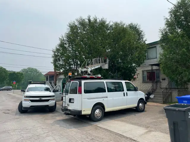 abattage arboriste secours - Photo 10