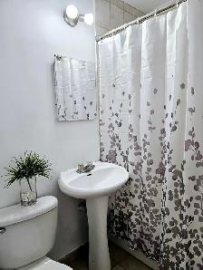 ROOM RENTALS/FURNISHED BEDROOMS FOR RENT/CHAMBRE MEUBLÉE A LOUER - Photo 9