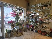 Flower Shop Equipment Sale - EVERYTHING MUST GO
