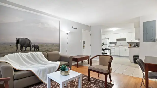 P11 AP3 - 1 BEDROOM APARTMENT – FULLY FURNISHED | ALL UTILITIES - Photo 4