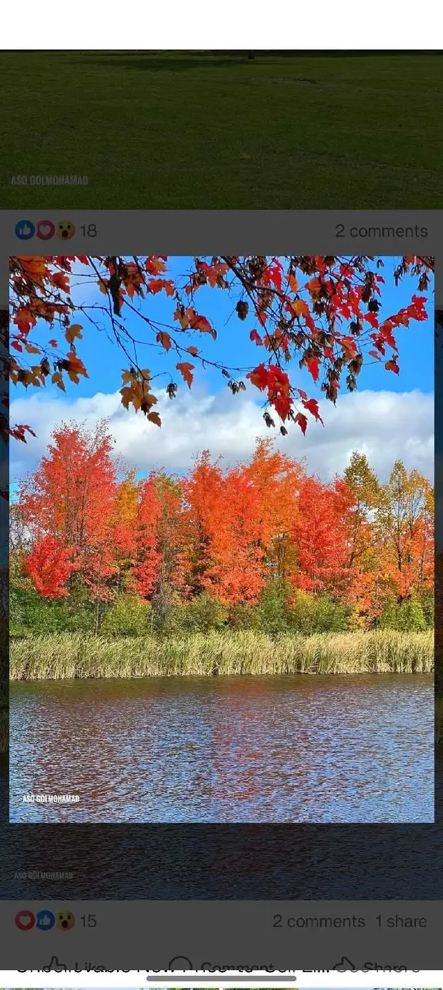 looking for a studio apartment or basement for rent