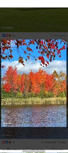 looking for a studio apartment or basement for rent