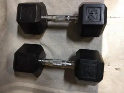 25 lb rubber coated Dumbbells
