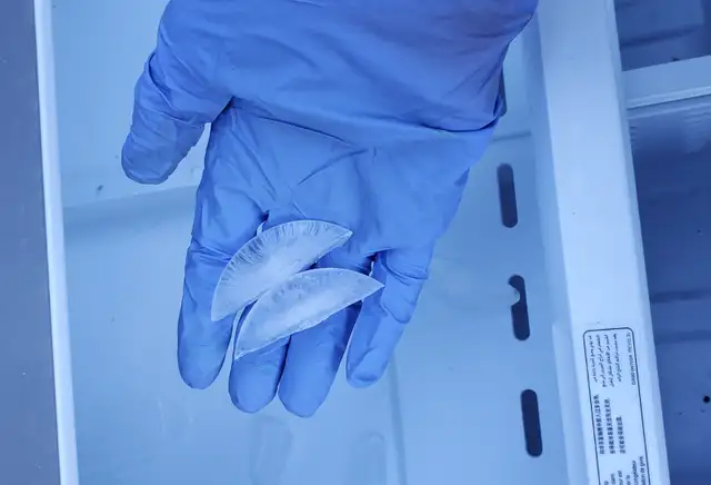 Samsung French Door fridge - Very good condition, Clean - Photo 4