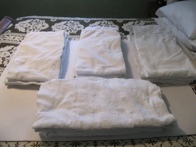 20pc Lot Of 24 x50 inch HotelGrade Cotton Bathroom Towels CLEAN