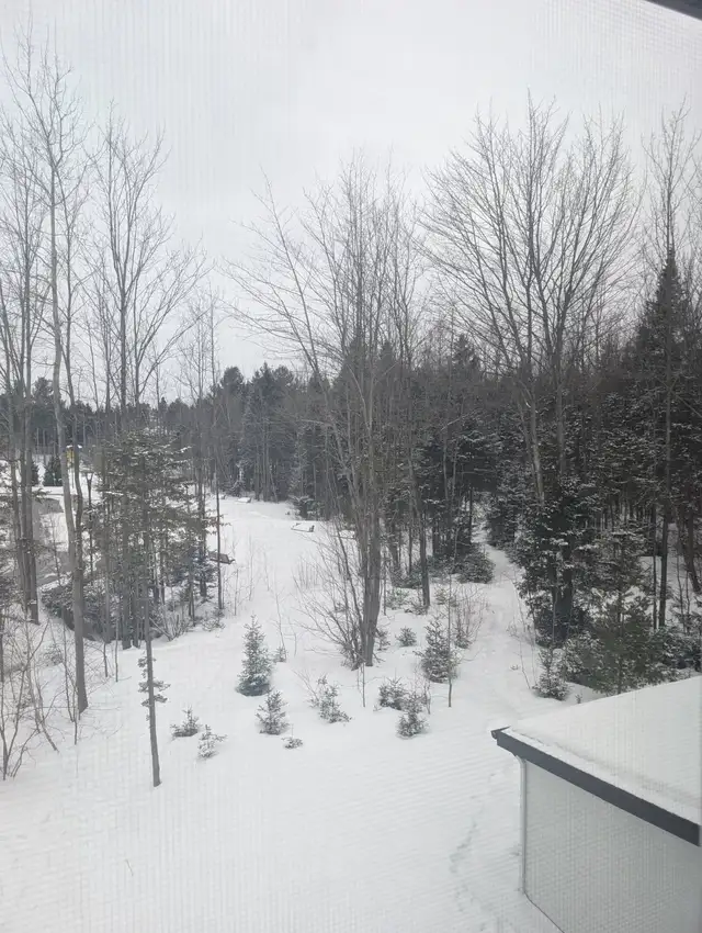 logement 4 et demie à louer Domaine Colonial Victoriaville - Photo 10