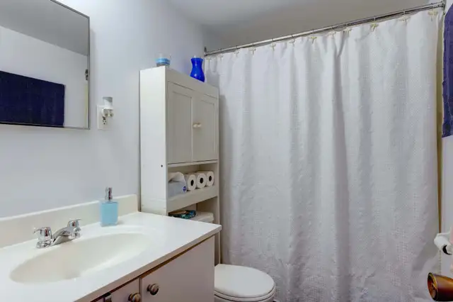 4 1/2 rénové à Pointe-aux-Trembles - Juillet - Internet inclus - Photo 8