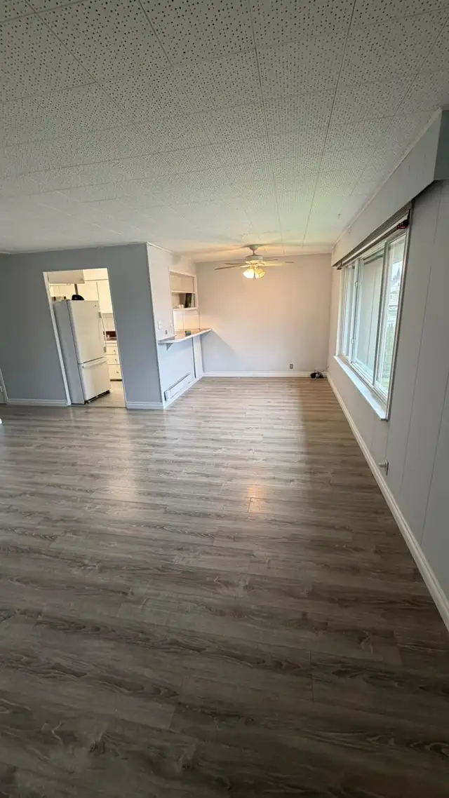 Large, Bright One Bedroom Apartment (CHILLIWACK) - Photo 4