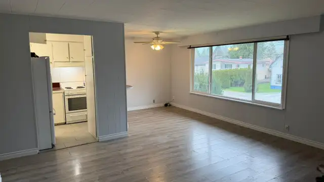 Large, Bright One Bedroom Apartment (CHILLIWACK) - Photo 5