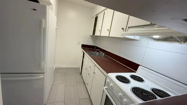 Large, Bright One Bedroom Apartment (CHILLIWACK) - Photo 7