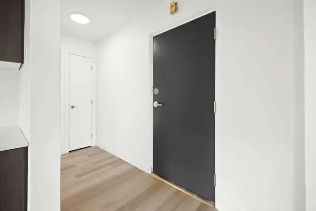 SPACIOUS Renovated 1 Bedroom Apartment! Available June 1st! - Photo 5